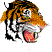 tiger1